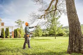 How Our Tree Care Process Works  in  Huron, OH